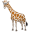 Giraffa Emoji U+1F992