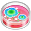 Piastra di Petri Emoji U+1F9EB