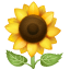 Girasole Emoji U+1F33B