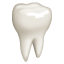 Dente Emoji U+1F9B7