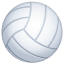 Pallavolo Smiley U+1F3D0